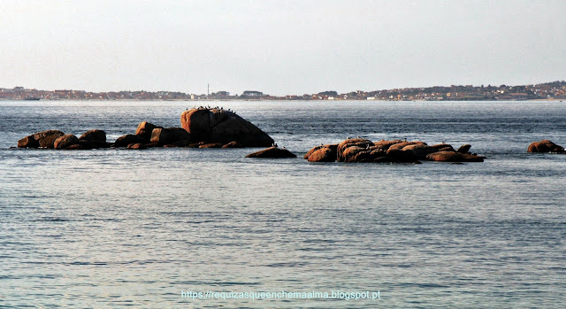 Praia o Grove Praia o Grove