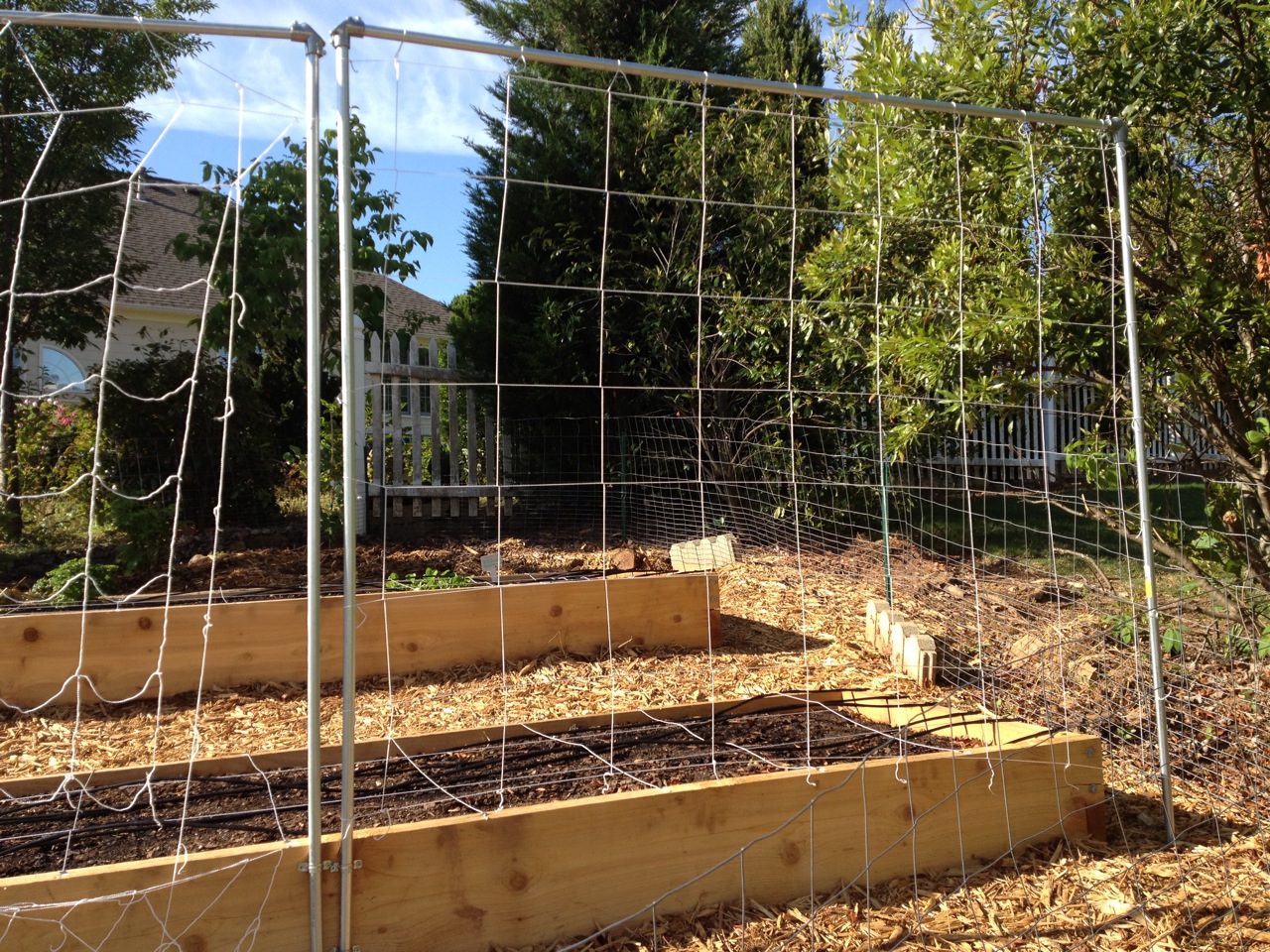 Applying Learnings to a New Vegetable Garden