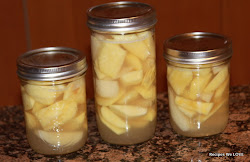 canning apple slices raw pack honey apples recipes water pints recipeswelove sauce bath sugar without pears canned butter jars pounds