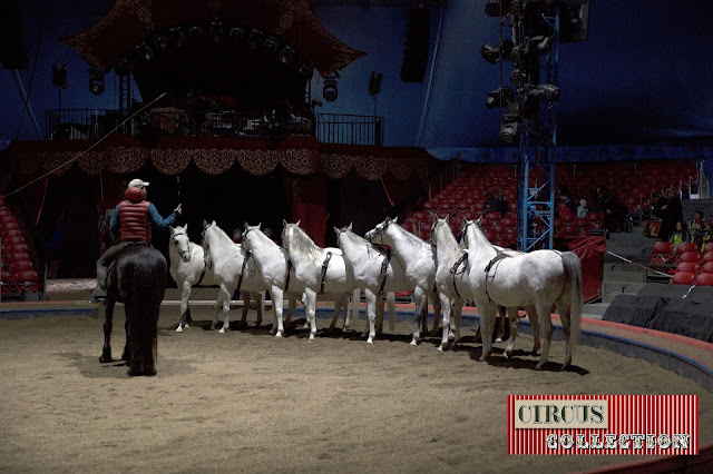 Yvan Frederic Knie  en répétition avec ses chevaux dans le manège du Cirque National suisse Knie