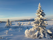 Winter at  Nordseter