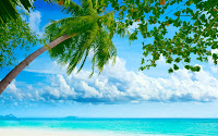 free beach wallpaper, beach, beautiful beach wallpapers, hd beach wallpaper, caribbean beach wallpaper