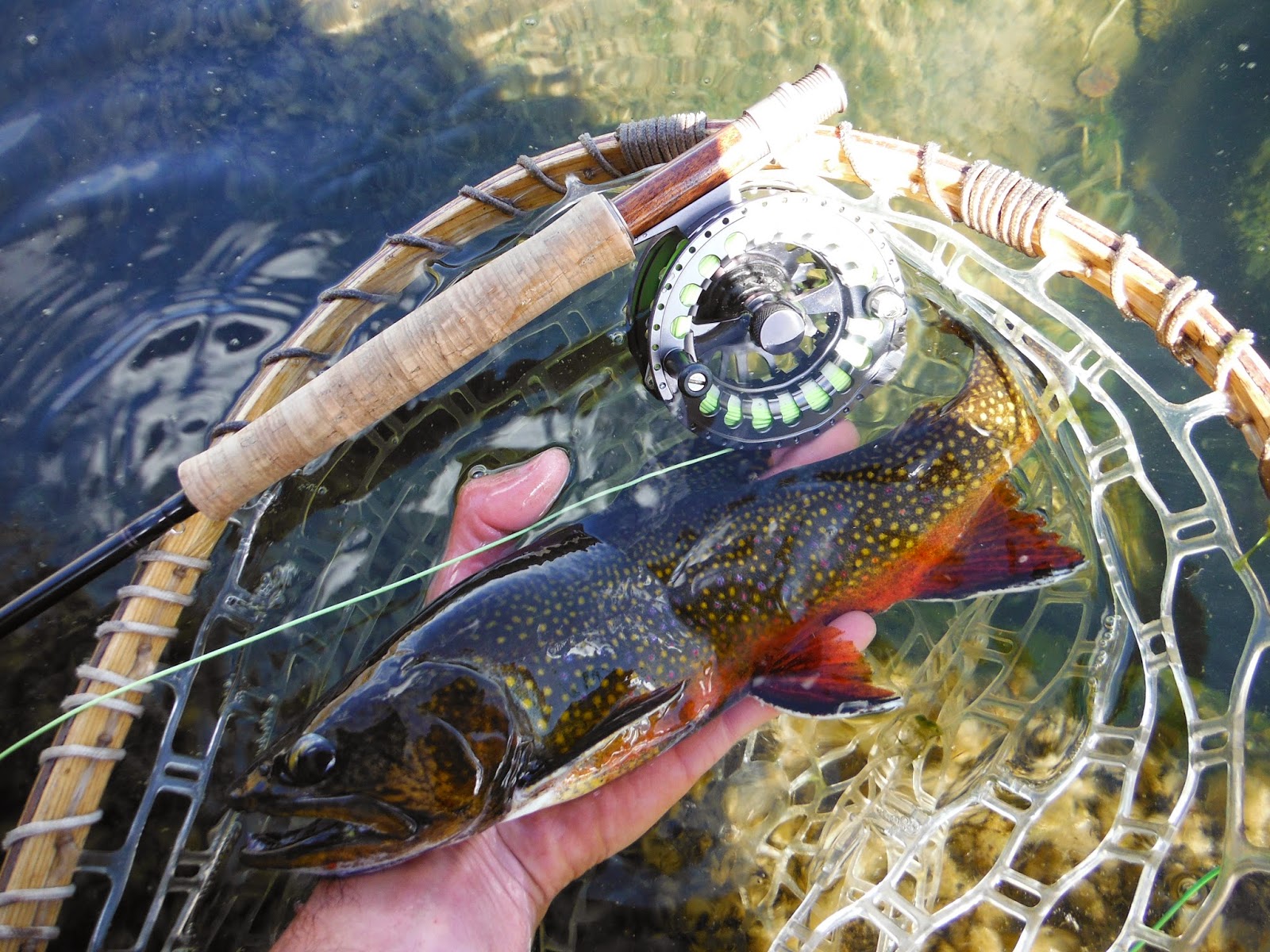 Southern Utah Fly Fishing ,Quiet Fly Fisher Guide Service & Fly Shop Southern Utah Fly Fishing