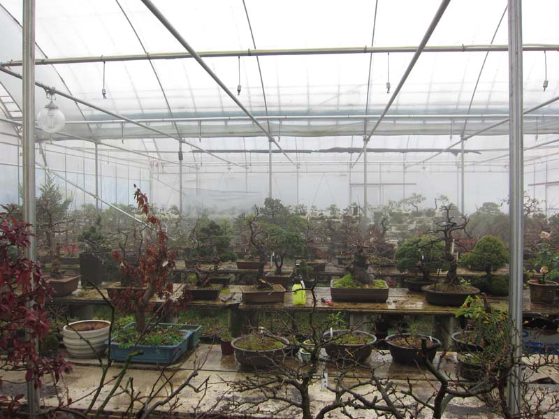 Your SEO optimized title