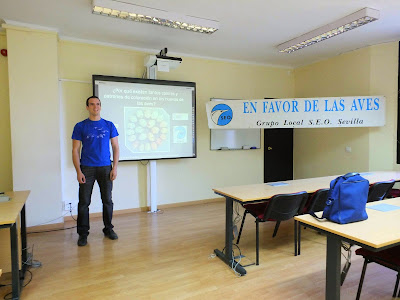 Conferencia ¿ Por qué existe tanta diversidad de colores y patrones de coloración en los huevos de las aves ?. Por Jesús Gómez. Martes Ornitológicos que el Grupo Local SEO-Sevilla organiza en el museo Casa de la Ciencia de Sevilla.