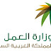وزارة العمل السعودية توقف منح تأشيرات جديدة إلا بشروط صعبة