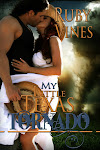 Hot Alpha Male Cowboy Romance Set in The Hill Country of Texas!