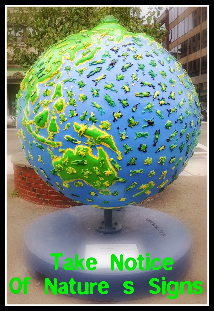 The Cool Globes en Boston: Common I: Take Notice Of Nature's Signs