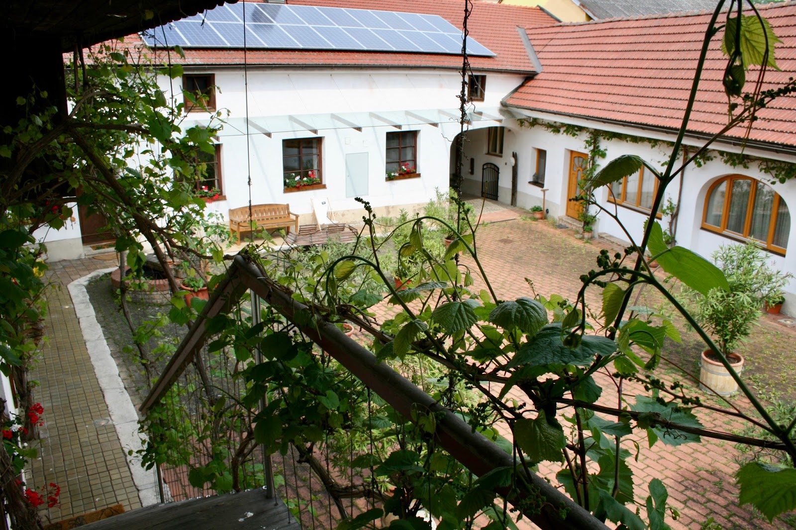 Oh Wagram Dort Ist Wirklich Natur Zuhause Diekremserin On