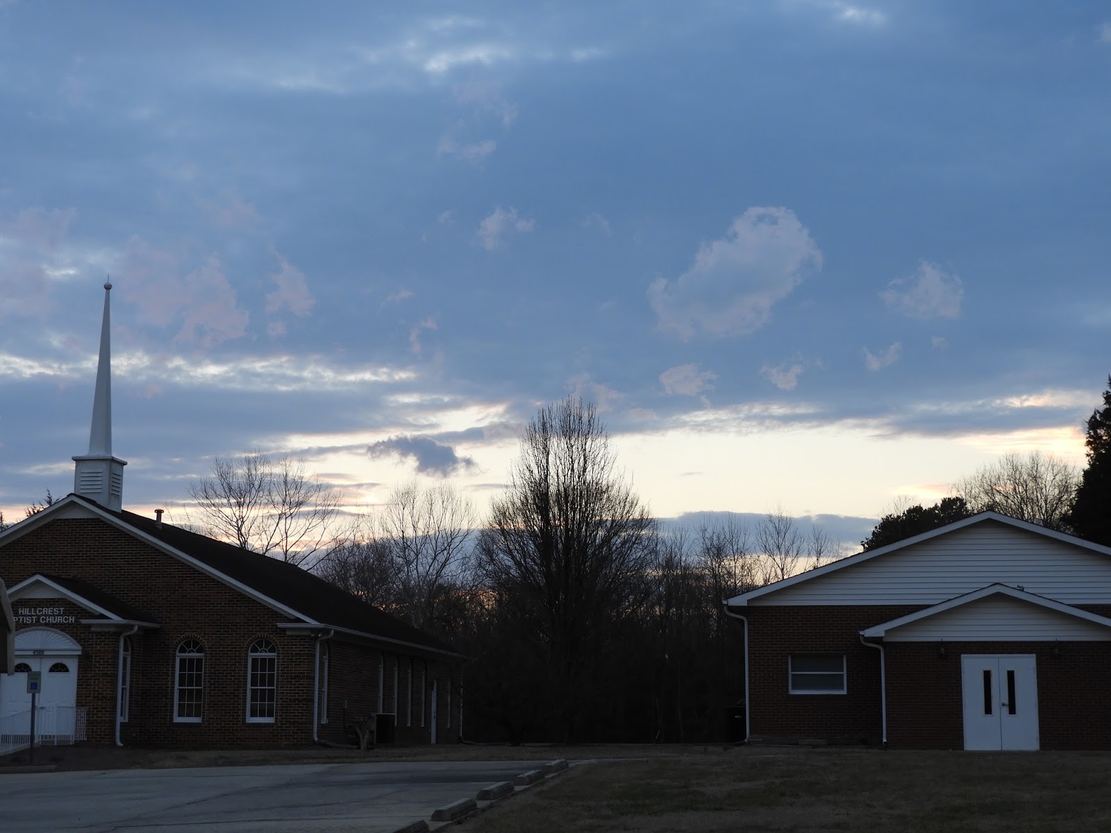 Project 365 Bargain Bin