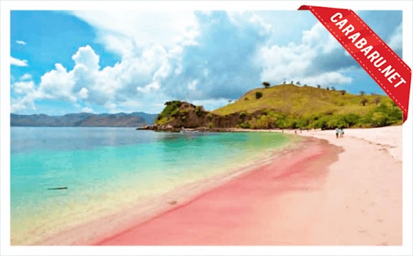 Keunikan Pulau Komodo yang masih belum banyak di Ketahui Orang Keunikan Pulau Komodo yang masih belum banyak di Ketahui Orang