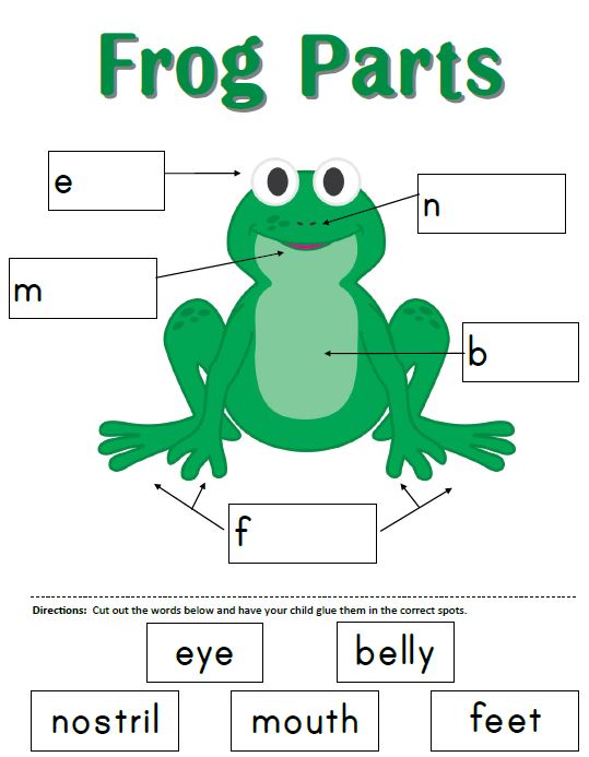 Minnesota pollution control agency malformed frogs database image