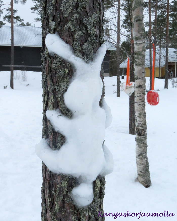 lumijänis puunrungossa