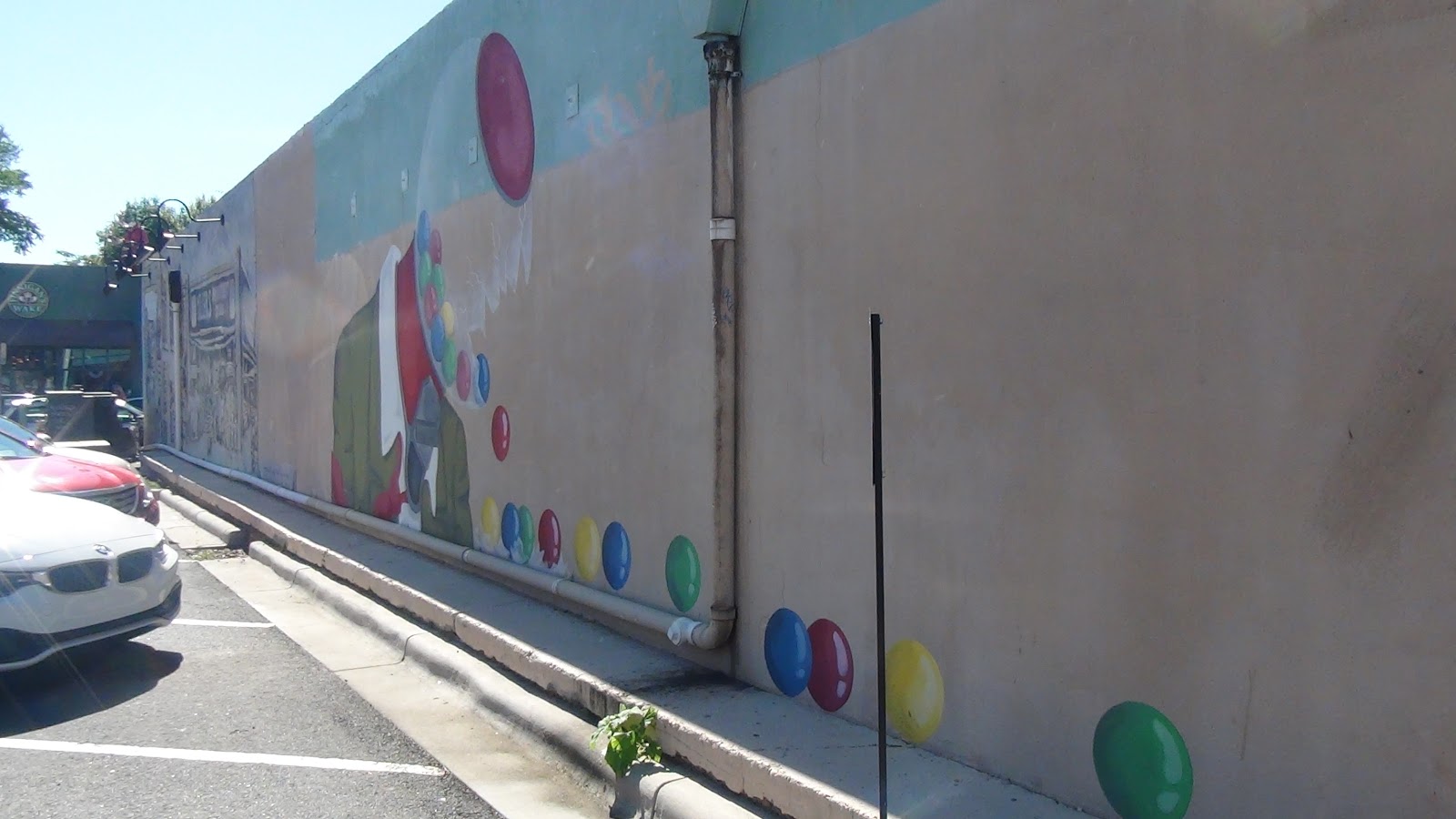 Steve Emig The White Bear Trade Street Winston Salem Art District Murals 2