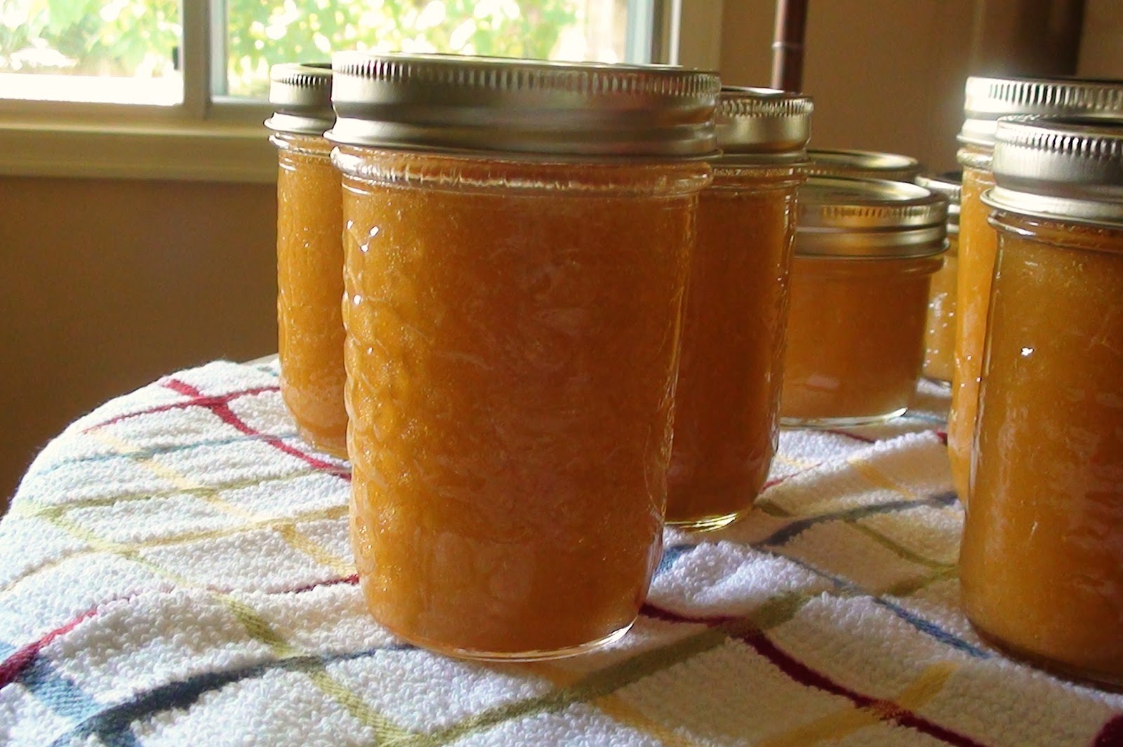 zsuzsa is in the kitchen FREEZER JAMS