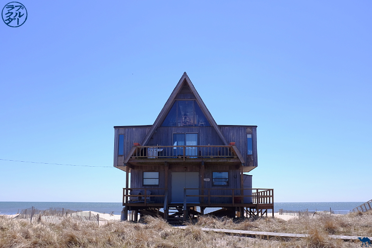 Blog Voyage USA New York - Le Chameau Bleu - Séjour à Fire Island à Davis Park - Long Island New York Blog Voyage USA New York - Le Chameau Bleu - Séjour à Fire Island à Davis Park - Long Island New York