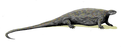 pelycosauria Casea