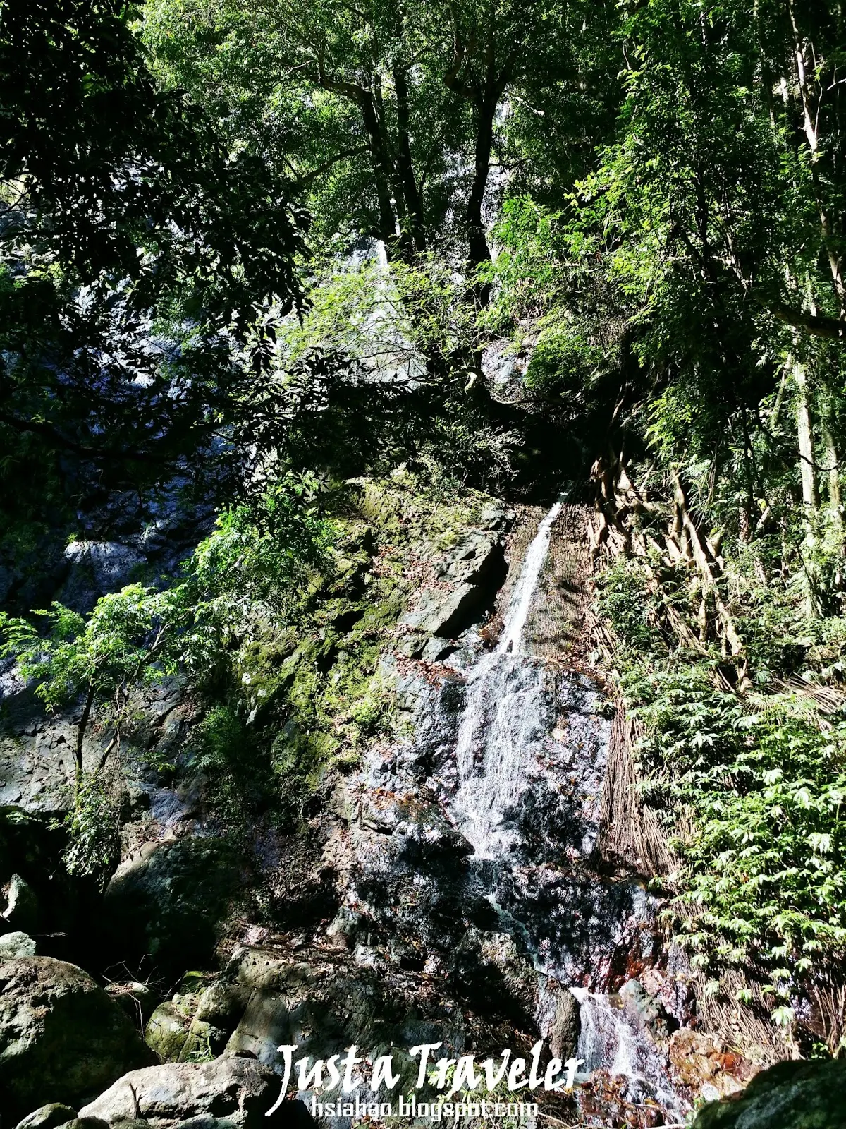 布里斯本-國家公園-登山-爬山-Kondalilla-National-Park-Brisbane