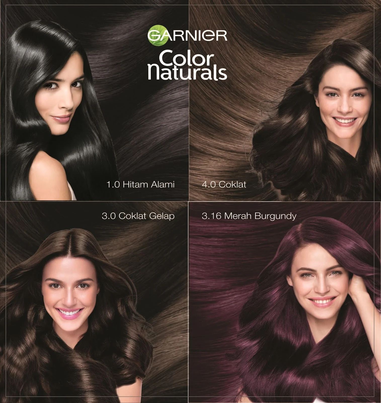 Captivating Garnier Hair Color View in 4K Captivating Garnier Hair Color View in 4K