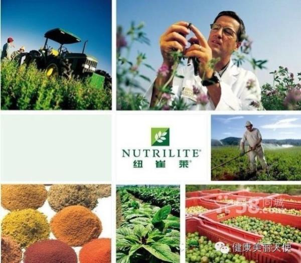 如何選擇營養補充食品 如何選擇營養補充食品