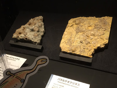 トロクスラー効果: 鏡にモンスターが見える理由が説明される