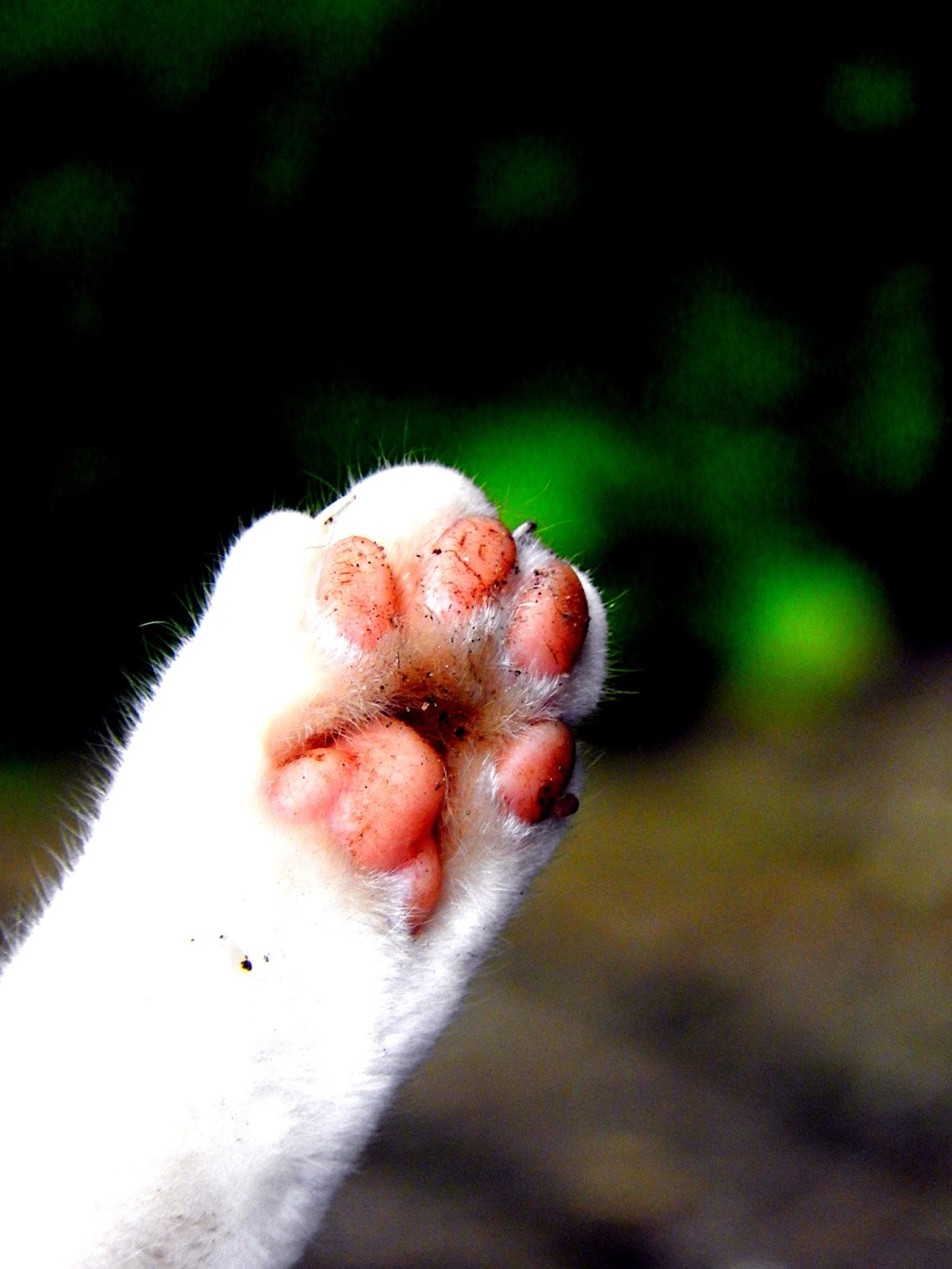 Kaylovesvintage less is more