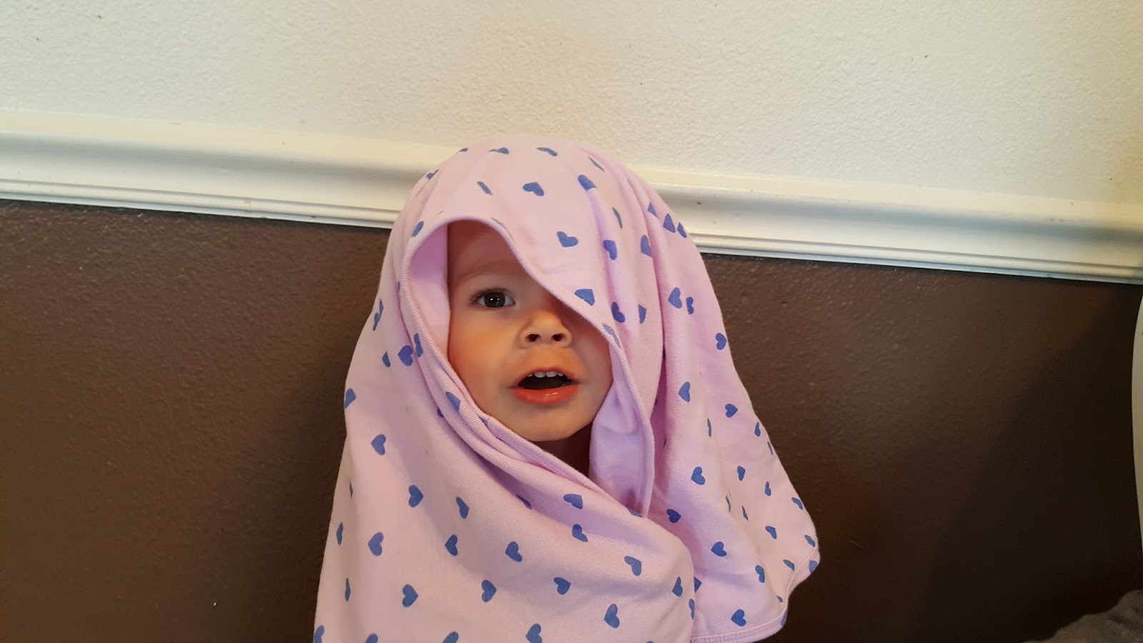 Bodily Bunch Quilt Group bodily-bunch-quilt-group