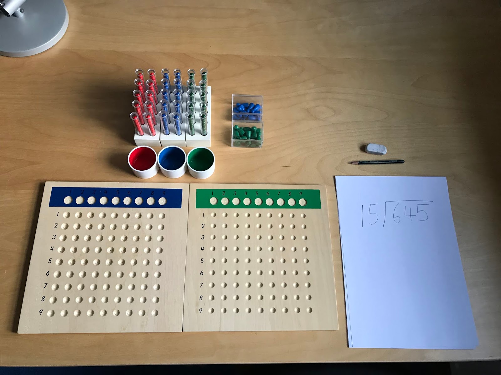 Family FECS Montessori Activity Long Division with Racks & Test Tubes