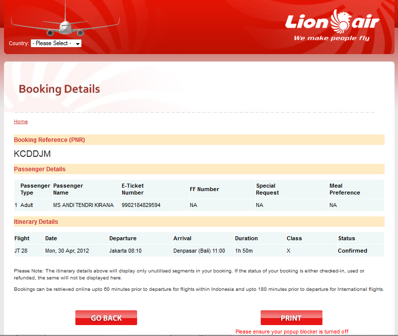 Booking details. Номер PNR Air Arabia. PNR. PNR В электронном билете Air Arabia. PNR Страна.