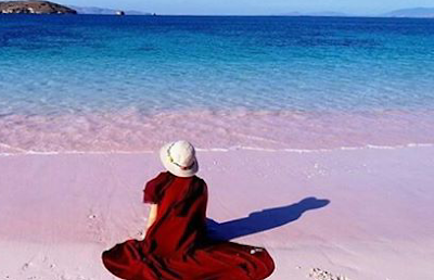 Pantai Pink Pantai unik di Indonesia