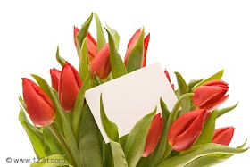 Red Tulips Images