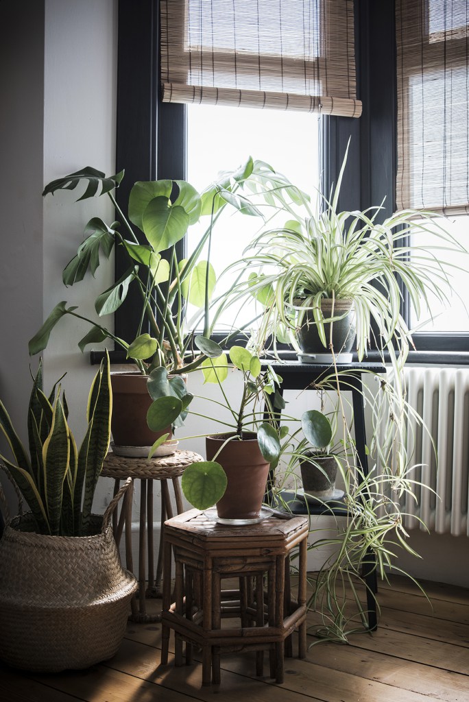 Decoración de estilo natural en Londres