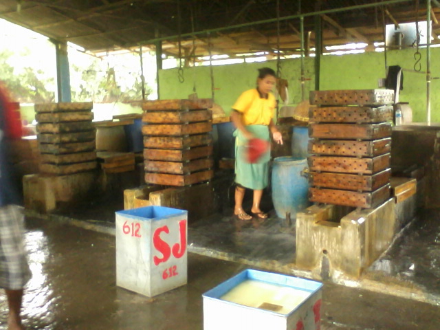 Pabrik Tahu Sumber Jaya