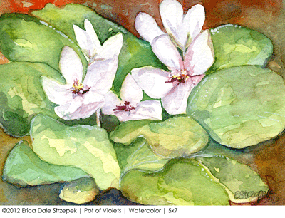 Pot of Violets
