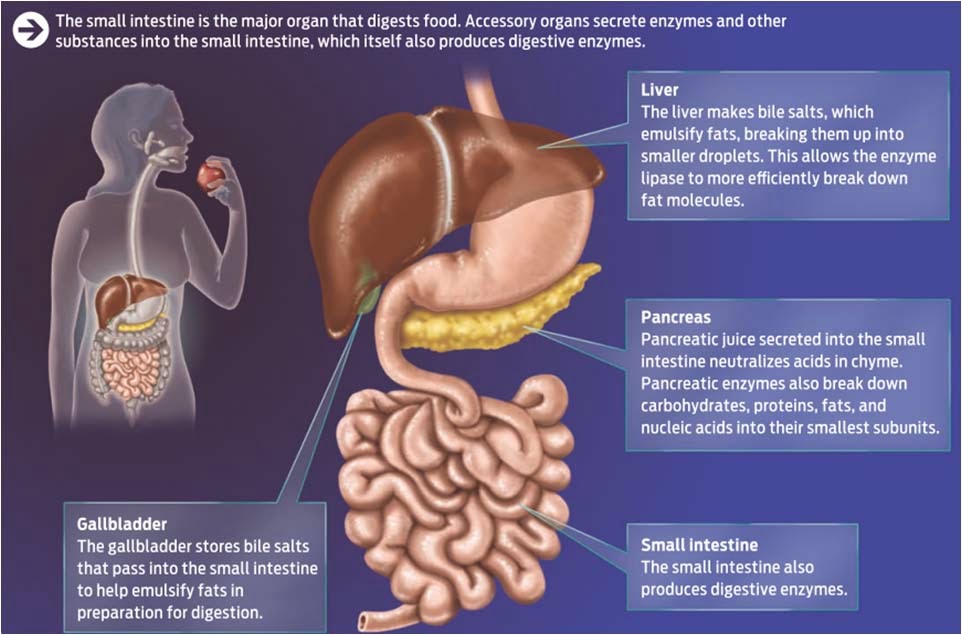 Biological Science