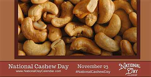 cashew day