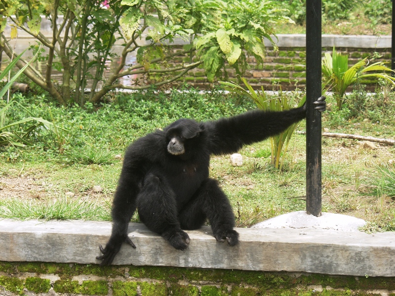 Ternyata di Garut Ada Taman Satwa Cikembulan | Ini Blog Indah
