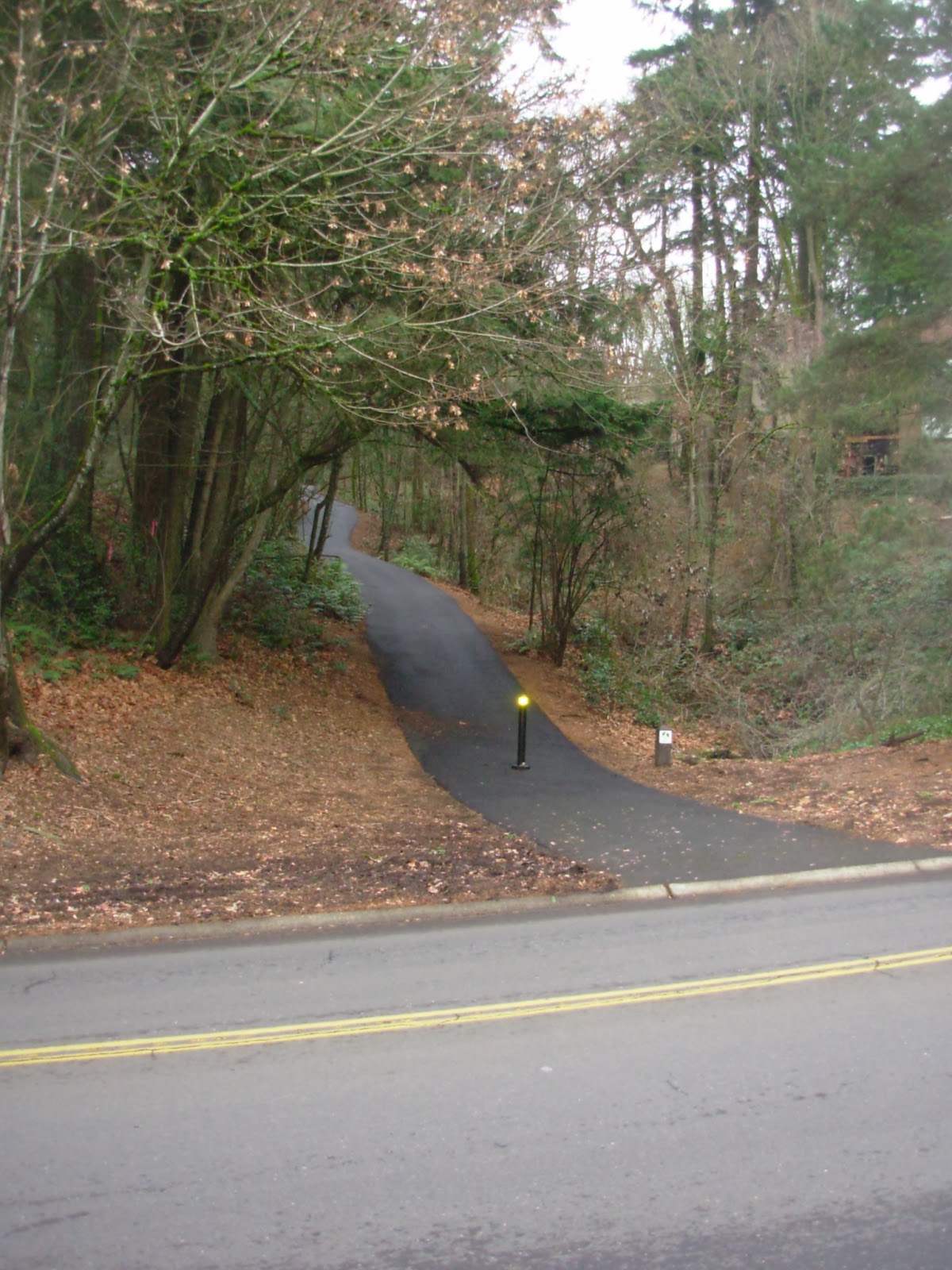 Walks and Hikes in Portland and Beyond Lake Oswego Up to Mt