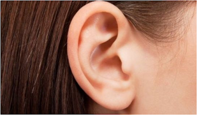 Hírek figyelem memória stressz zene hallás idegrendszer agyfélteke neuropszichológia