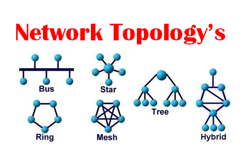 The Various Types Of Network Topologies Topology Type - vrogue.co