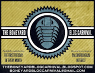 I proudly submitted to The Boneyard blog carnival