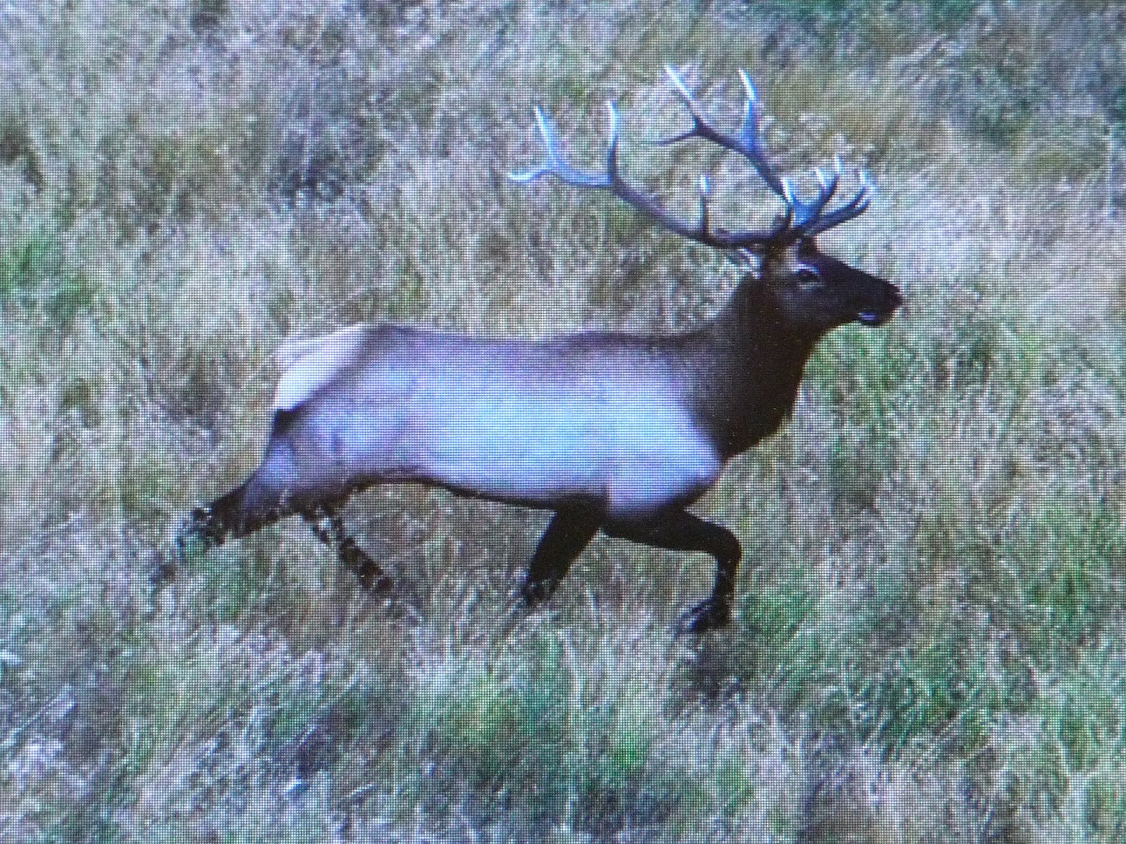 FARMING THE PALOUSE Palouse Pic's