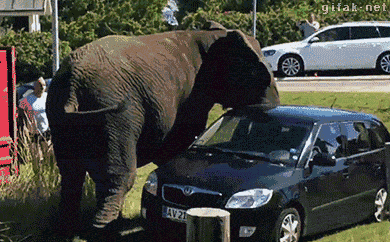 90mimb_nt2zg8diE01tq9q5vo1_400.gif