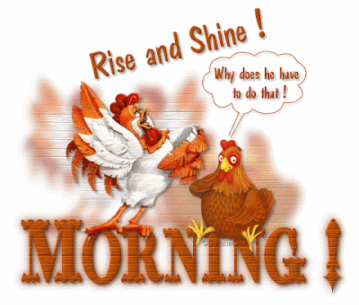 Good Morning SMS Good Morning Quote Of The Day rise and shine goodmorning gif image