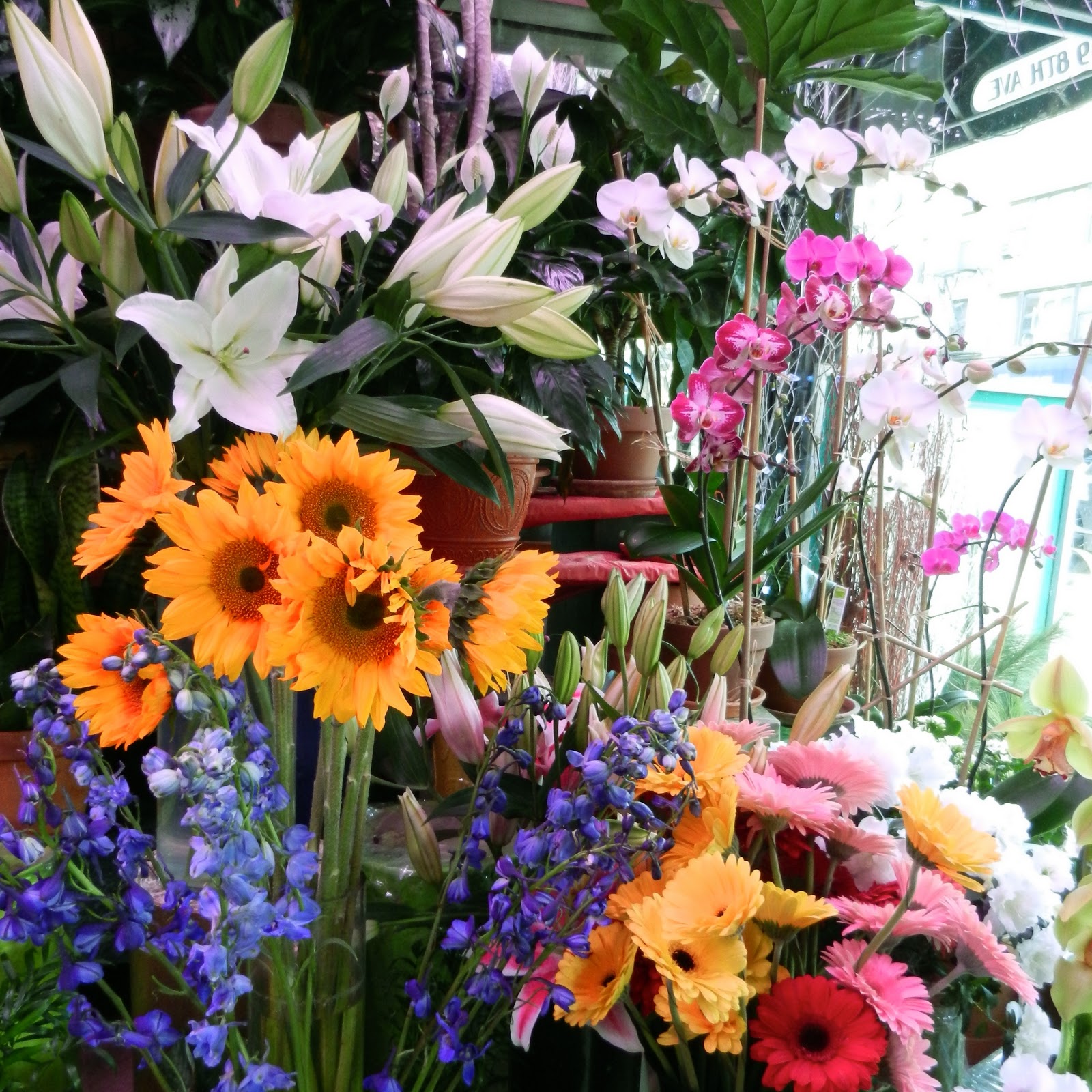 About New York A Visit to the Florist