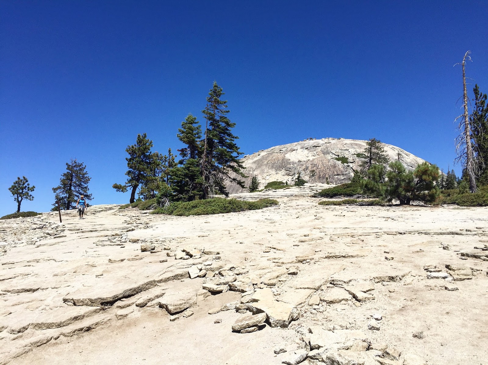 RunHikePlay Hiking Sentinel Dome with the Fam at Yosemite National