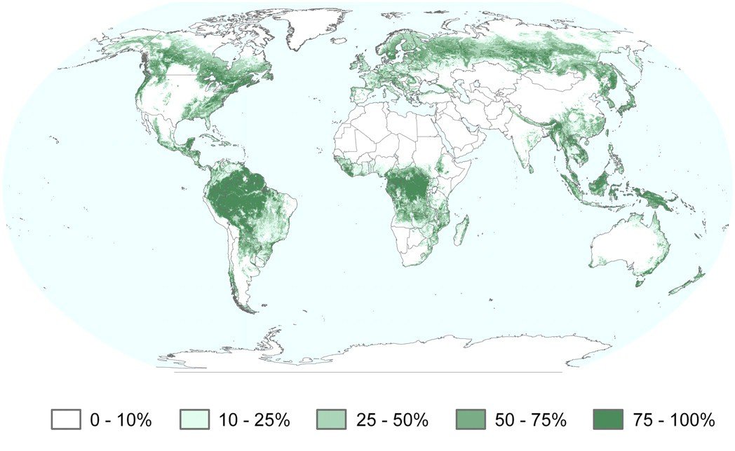 World Forest Cover Density