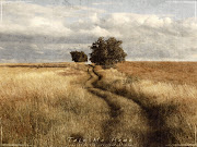 superman poster vintage wallpaper. take me home vintage wallpaper (take me home by garnettrules )