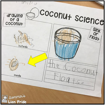 a kindergarteners drawing of the inside of a coconut