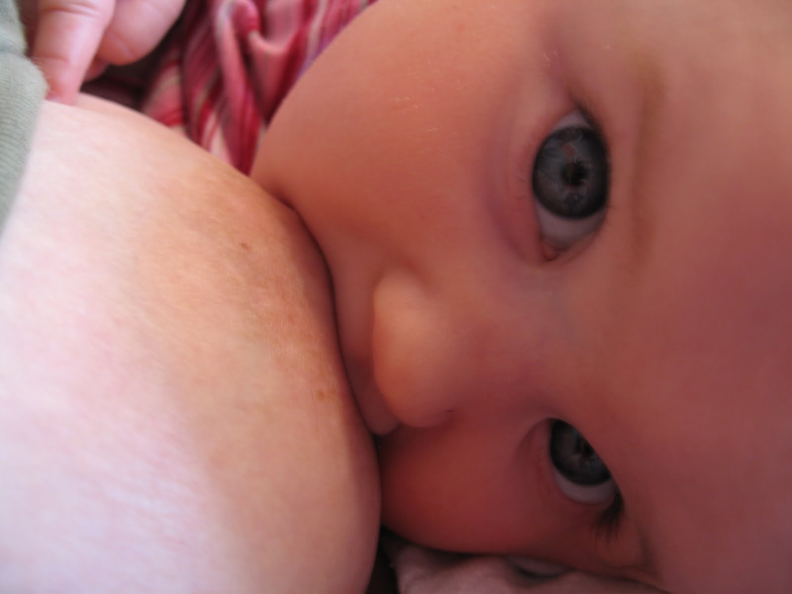 http://2.bp.blogspot.com/-iJJ2YXUoOtE/T3oRgofzaTI/AAAAAAAAACc/Fu80I6EsRlg/s1600/breastfeeding-advantages-over-bottles.jpg